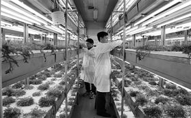 信息技術(shù)與生物技術(shù)雙輪驅(qū)動(dòng)，開啟現(xiàn)代農(nóng)業(yè)發(fā)展新篇章